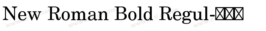 New Roman Bold Regul字体转换